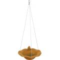 ZOLUX Poidło/basen ceramiczny z figurką ptaka miodowy
