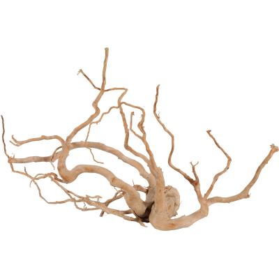 ZOLUX Korzeń japoński Spider Wood Jumbo