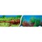 Tło dwustronne (fototapeta) nr. 9009 (40cm wys.)