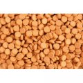 POKARM Krafttablets 100g Beta-karoten Soczewka