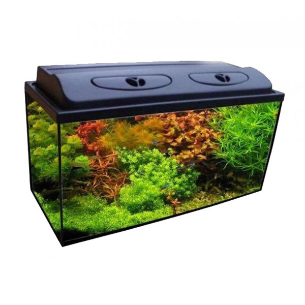 Akwarium 140l proste+pokrywa+FULL WYPOS+GRATISY