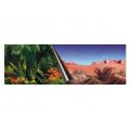 EBI TŁO DWUSTRONNE JUNGLE+DESERT 120x50 FOTOTAPETA