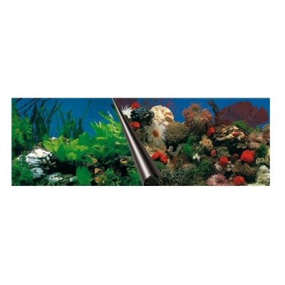 EBI TŁO DWUSTRONNE STONE+CORAL 60x30 FOTOTAPETA