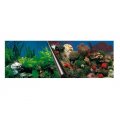 EBI TŁO DWUSTRONNE STONE+CORAL 60x30 FOTOTAPETA