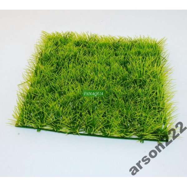 Sztuczny trawnik z roślin akwariowych 24-24cm