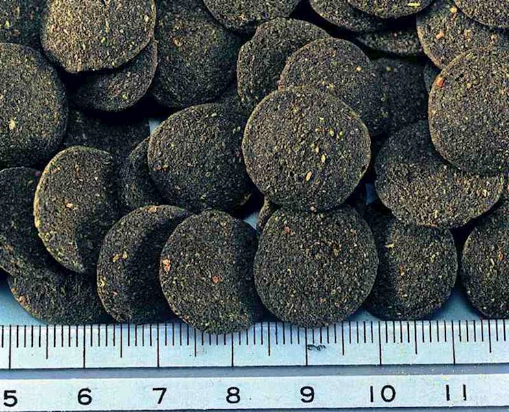 HIKARI ALGAE WAFERS 1 KG POKARM DLA GLONOJADÓW