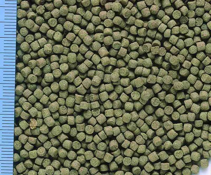 HIKARI MARINE-A 1KG POKARM DLA RYB SŁONOWODNYCH