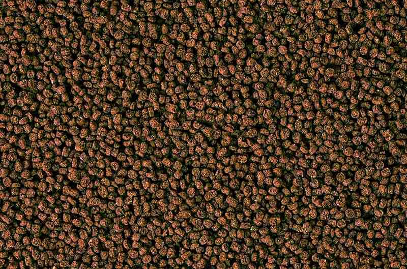 HIKARI MARINE-S 1KG POKARM DLA RYB SŁONOWODNYCH