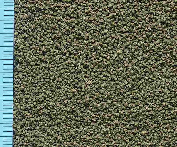 HIKARI MICRO WAFERS 1 KG POKARM DLA RYB