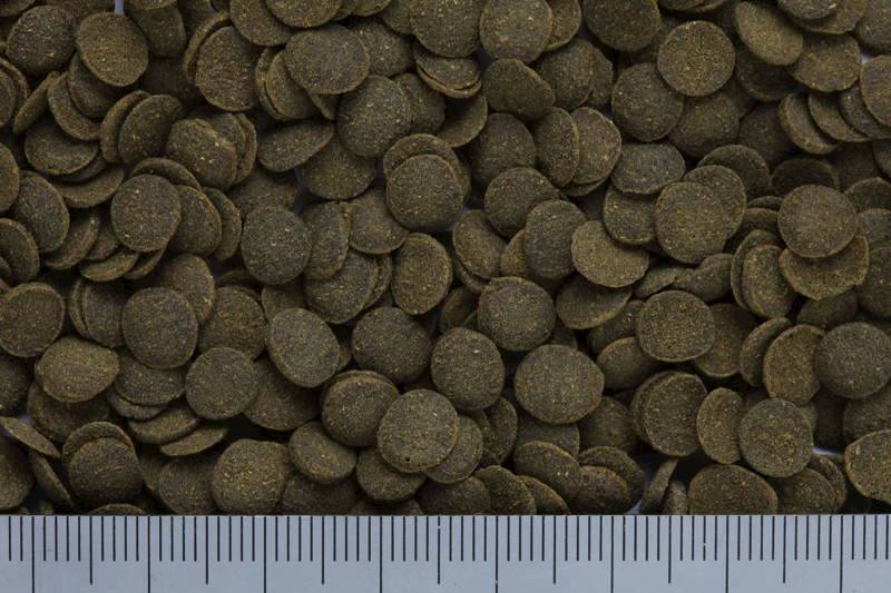 HIKARI MINI ALGAE WAFERS 1KG POKARM DLA RYB