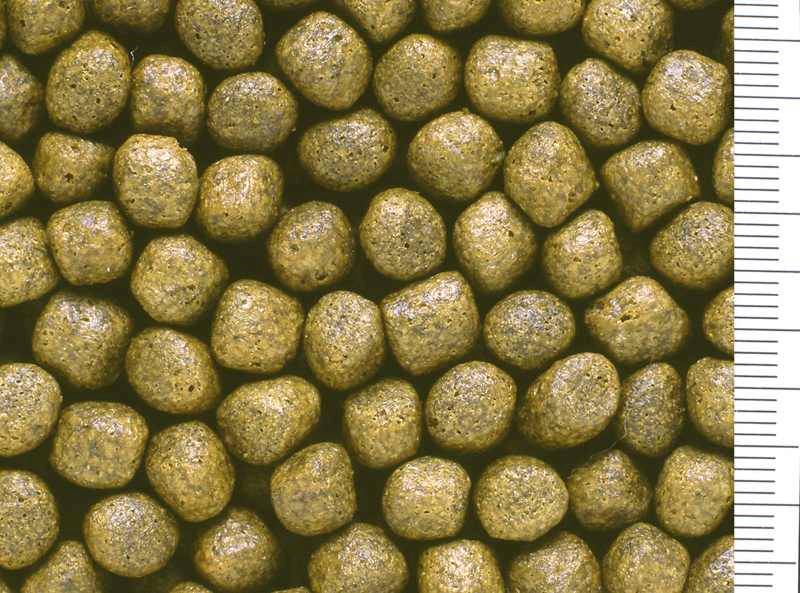 HIKARI SAKI R MULTI SEASON FLOATING L 15 KG POKARM