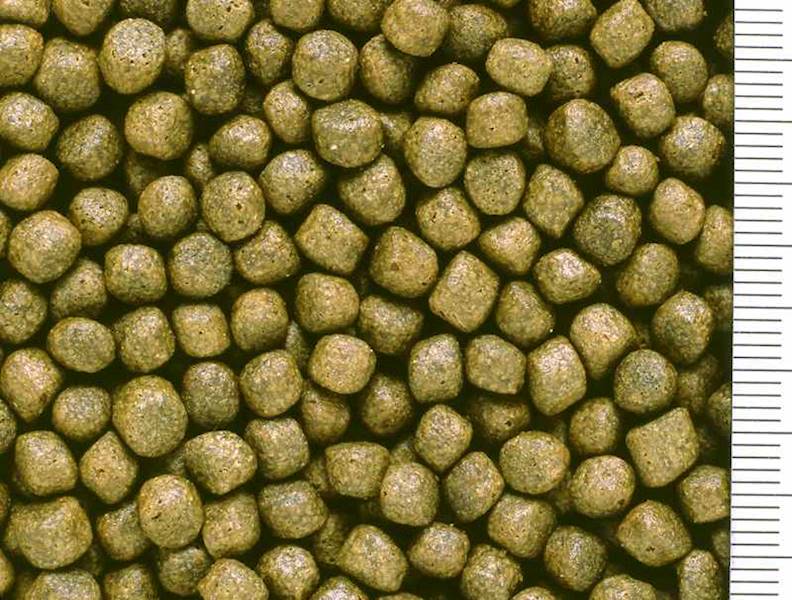 HIKARI SAKI R MULTI SEASON FLOATING M 15 KG POKARM