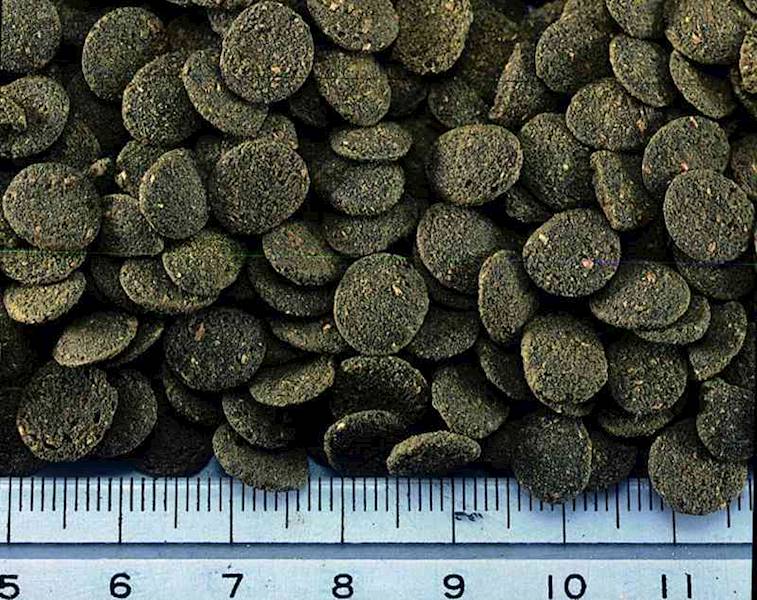 HIKARI SINKING WAFERS 1 KG POKARM DLA RYB