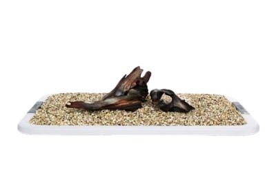IKOLA KORZEN DRIFTWOOD S 24-29CM