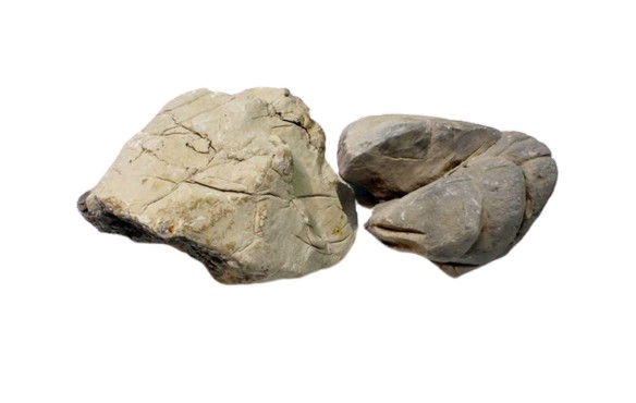 IKOLA SKAŁA SHELL VEIN ROCK GREY OZDOBA AKWARIOWA