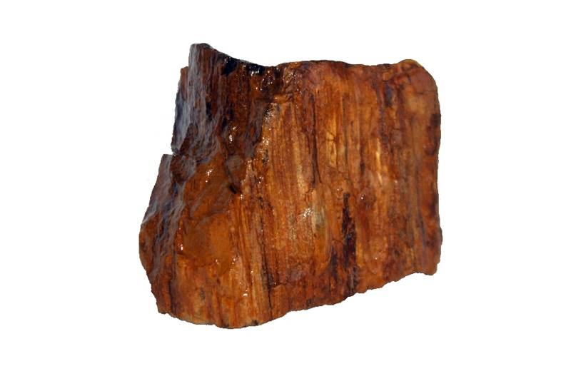 IKOLA SKAŁA WOOD FOSSIL OZDOBA AKWARIOWA