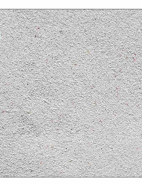 IKOLA ŻWIR KORALOWY 0,5-0,8 MM ~10KG PODŁOŻE