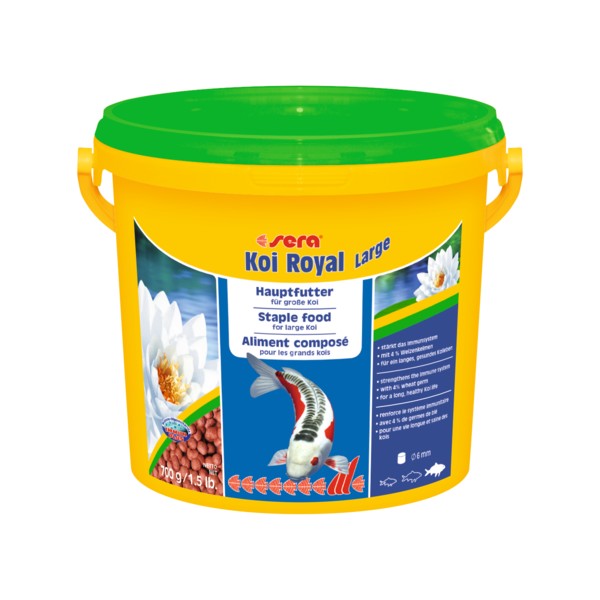 SERA KOI ROYAL LARGE 3800ML POKARM DLA KOI