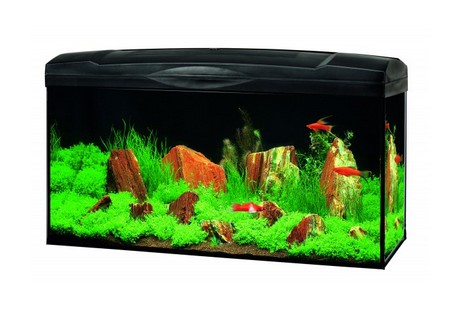 MARINA BASIC 96 80X30CM LED 9W AKWARIUM HAGEN
