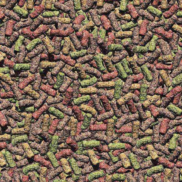 JBL PROPOND ALL SEASONS M 2,2 KG POKARM CAŁOROCZNY