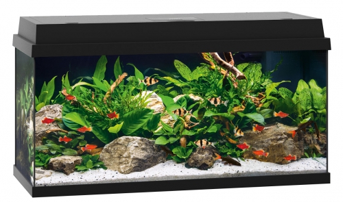 JUWEL PRIMO 110 Zestaw czarny akwarium LED