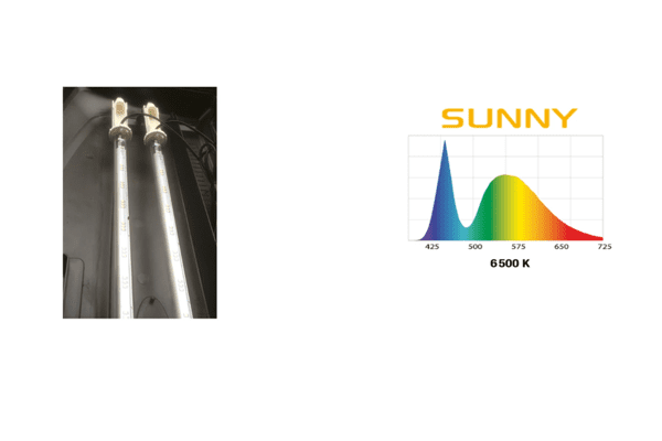 Zestaw 240 l owalny AQUAEL Led 2x16W + WYPOSAŻENIE 100