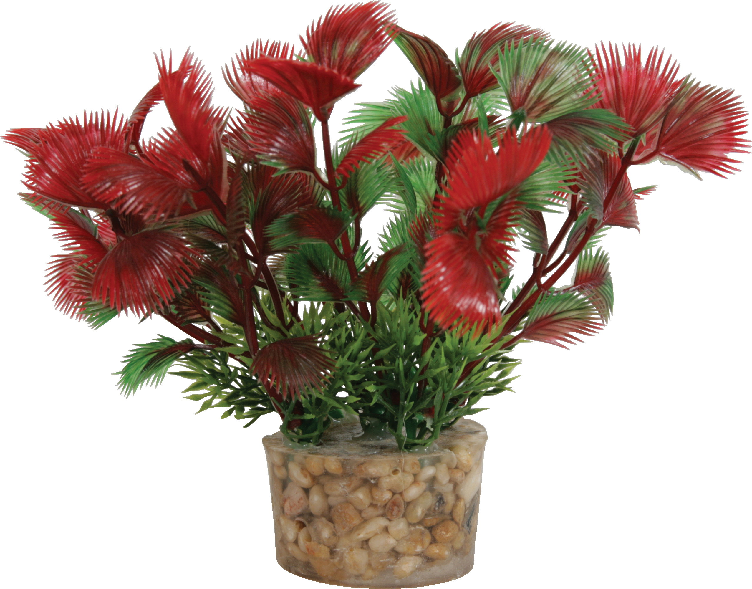 ZOLUX Roślina mała czerwona