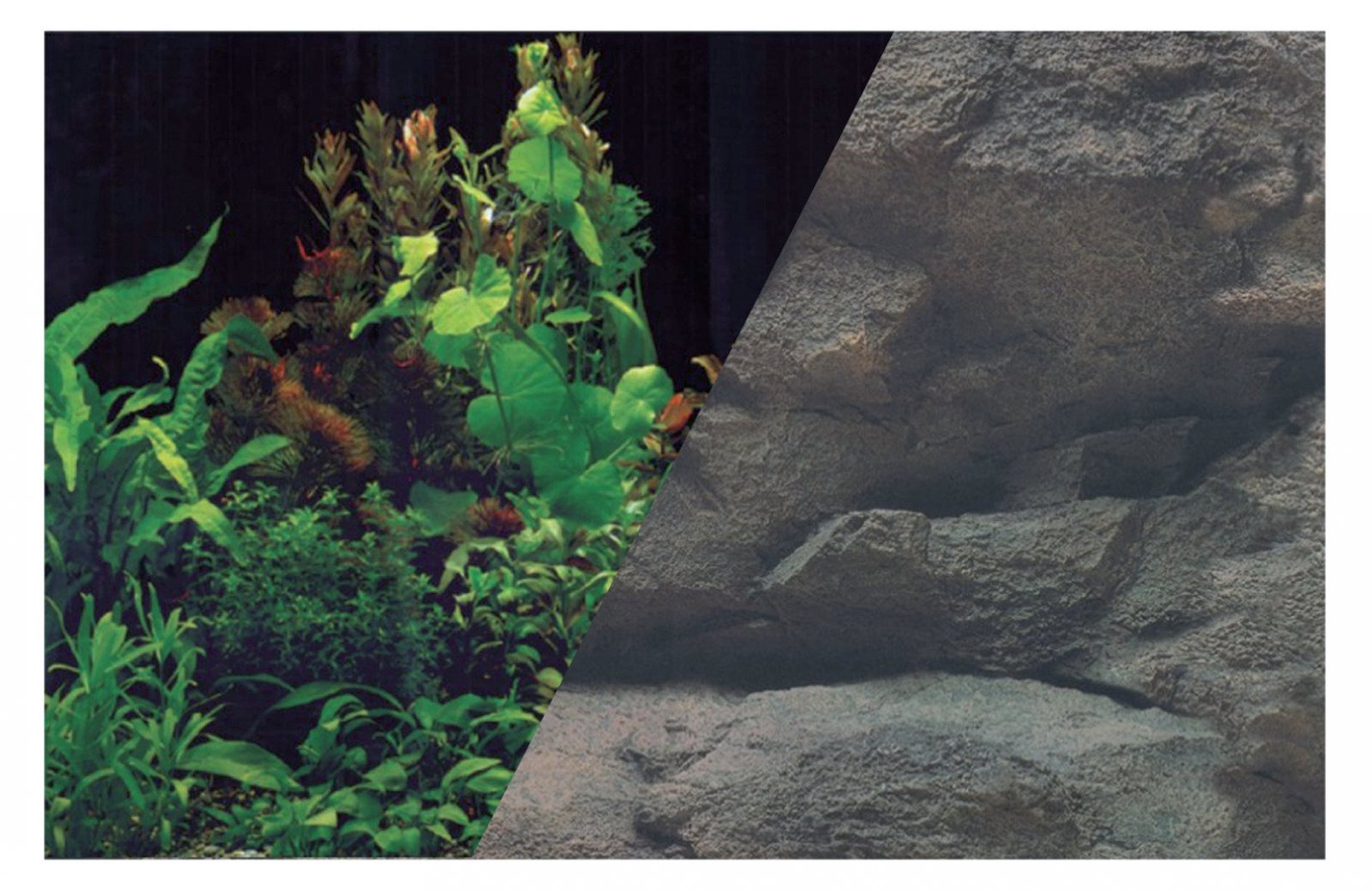ZOLUX Tło dwustronne 50 x 80 cm rośliny/skała