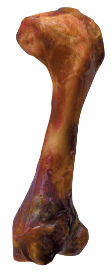 ZOLUX Kość o smaku szynki dla psa