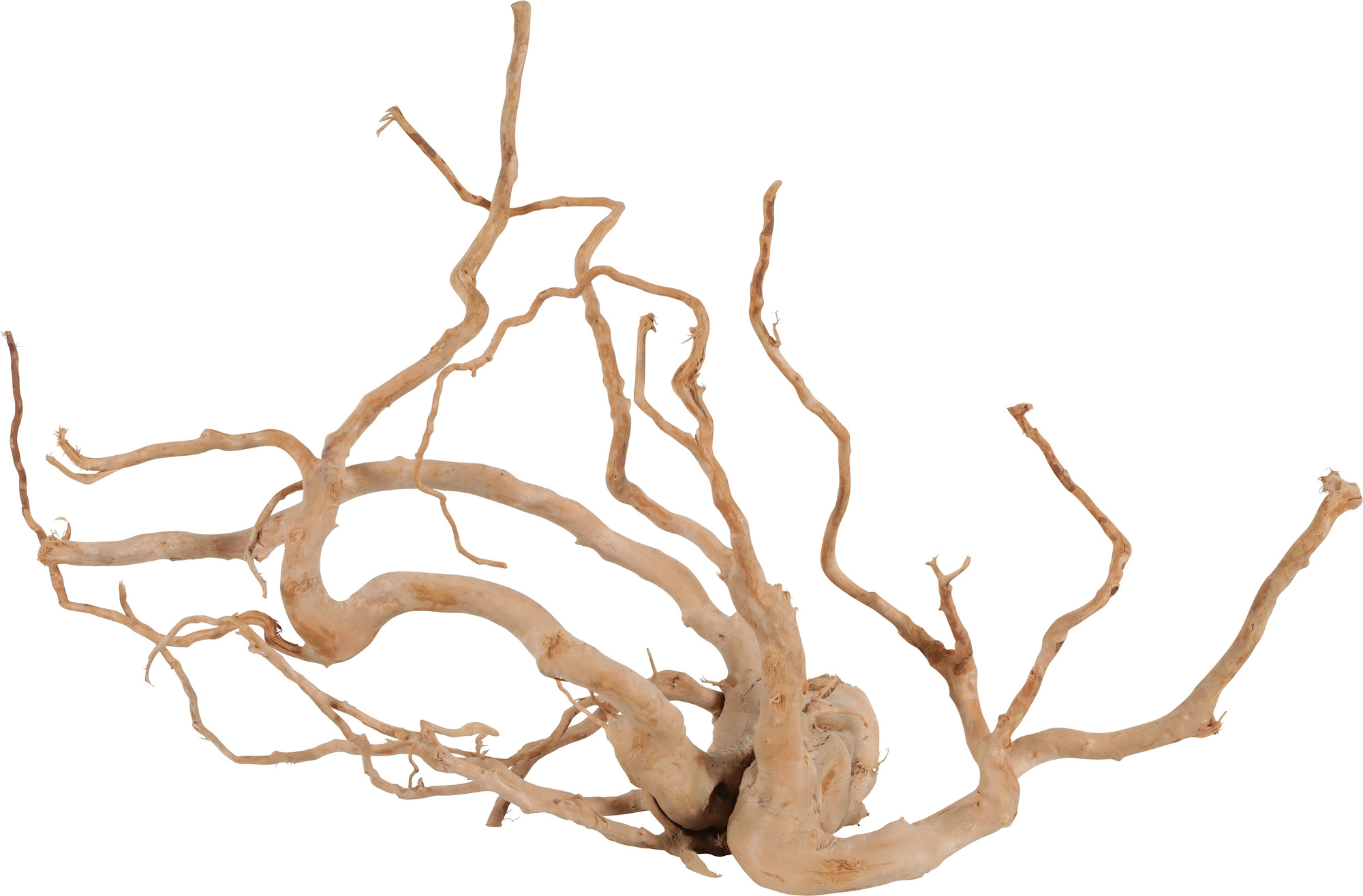 ZOLUX Korzeń japoński Spider Wood Jumbo