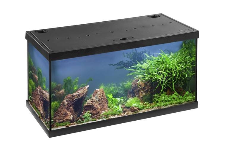 EHEIM MP AQUARIEN-SET AQUASTAR 54 BLACK LED