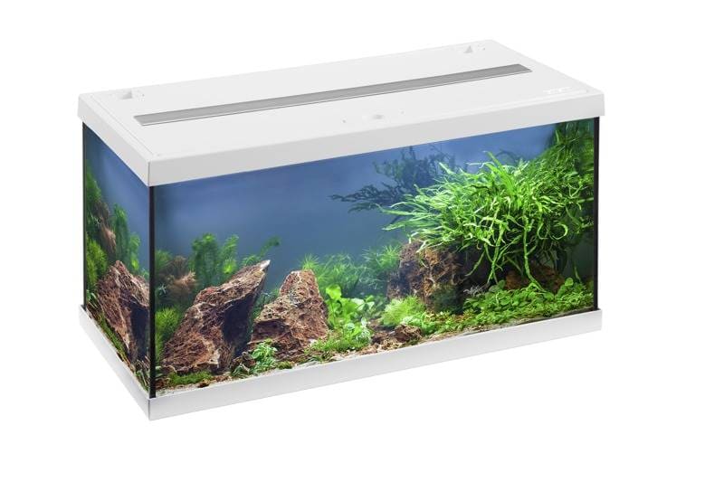 EHEIM MP AQUARIEN-SET AQUASTAR 54 WHITE LED