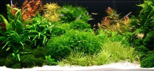 Zestaw 126l+pokrywa+szafka +WYPOSA+GRATISY