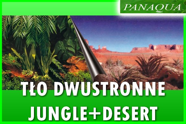 jungledesert.jpg
