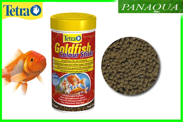 goldfishcoloursticks.jpeg