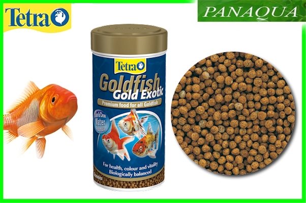 goldfishexoticc.jpeg