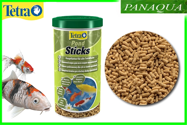 pondsticks.jpeg