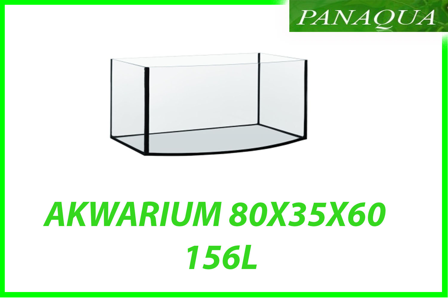 akwarium 156.jpg