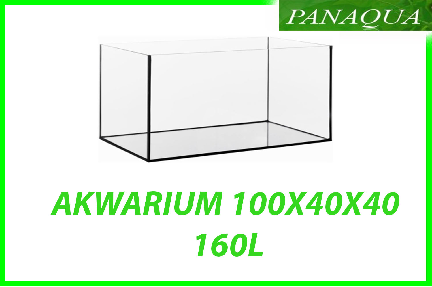 akwarium 160.jpg