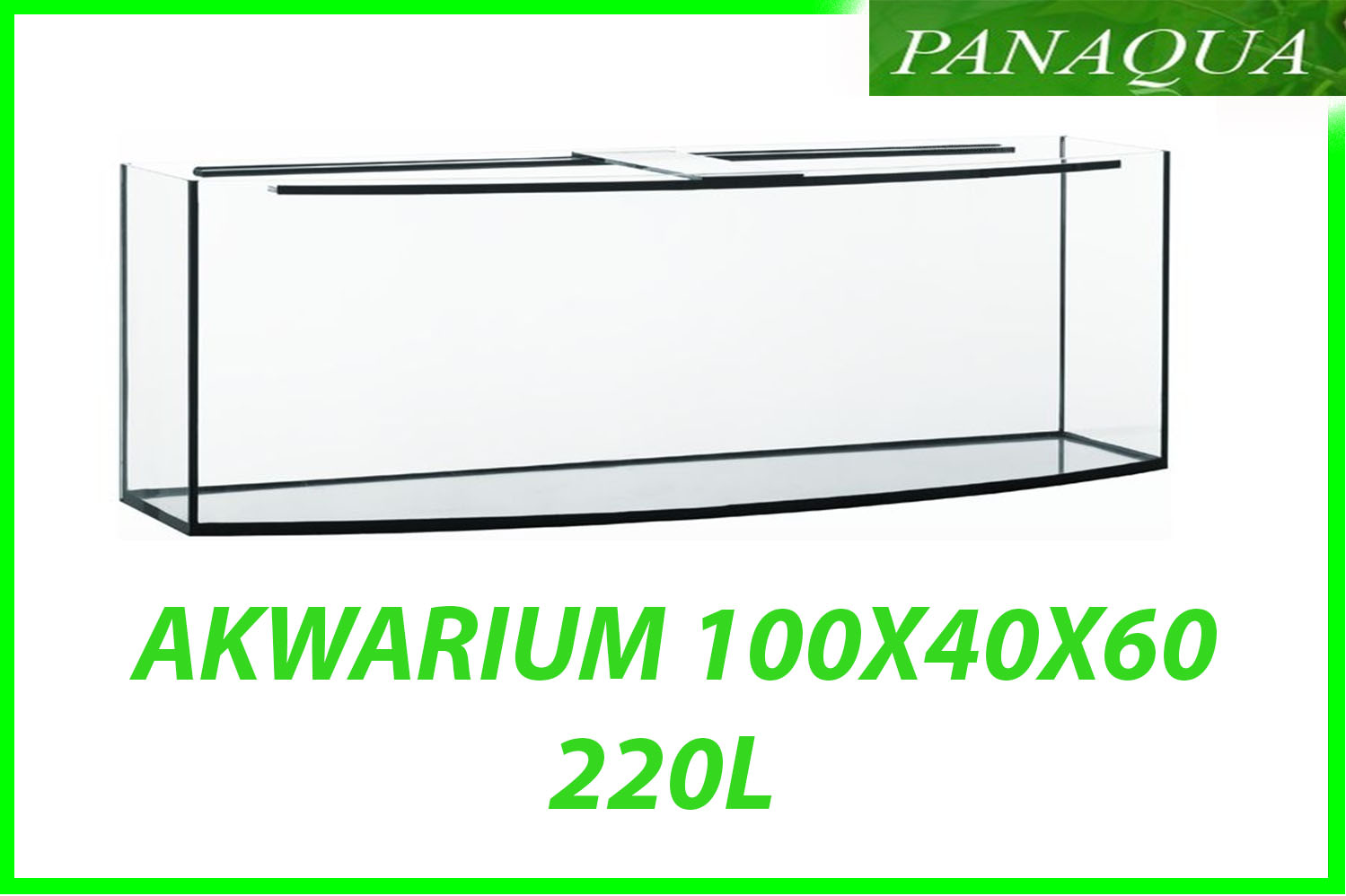 akwarium 220.jpg
