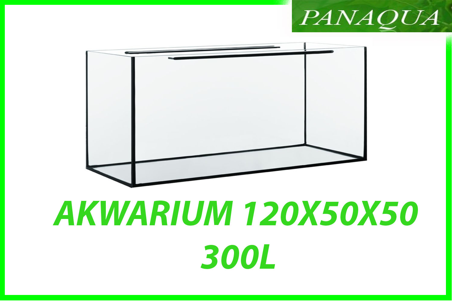 akwarium 300.jpg