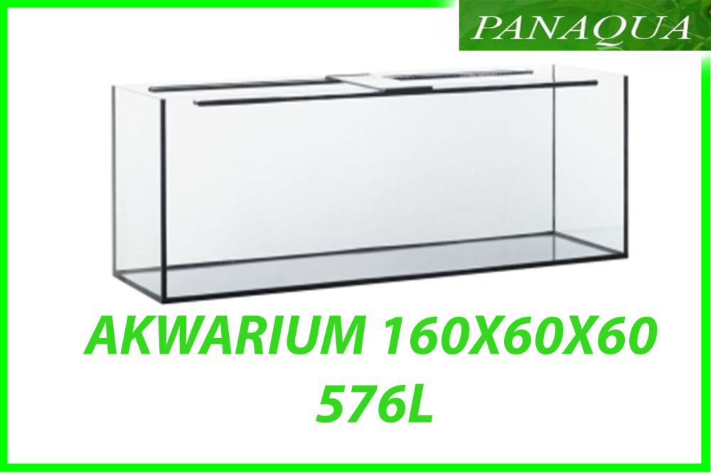 akwarium 576.jpg