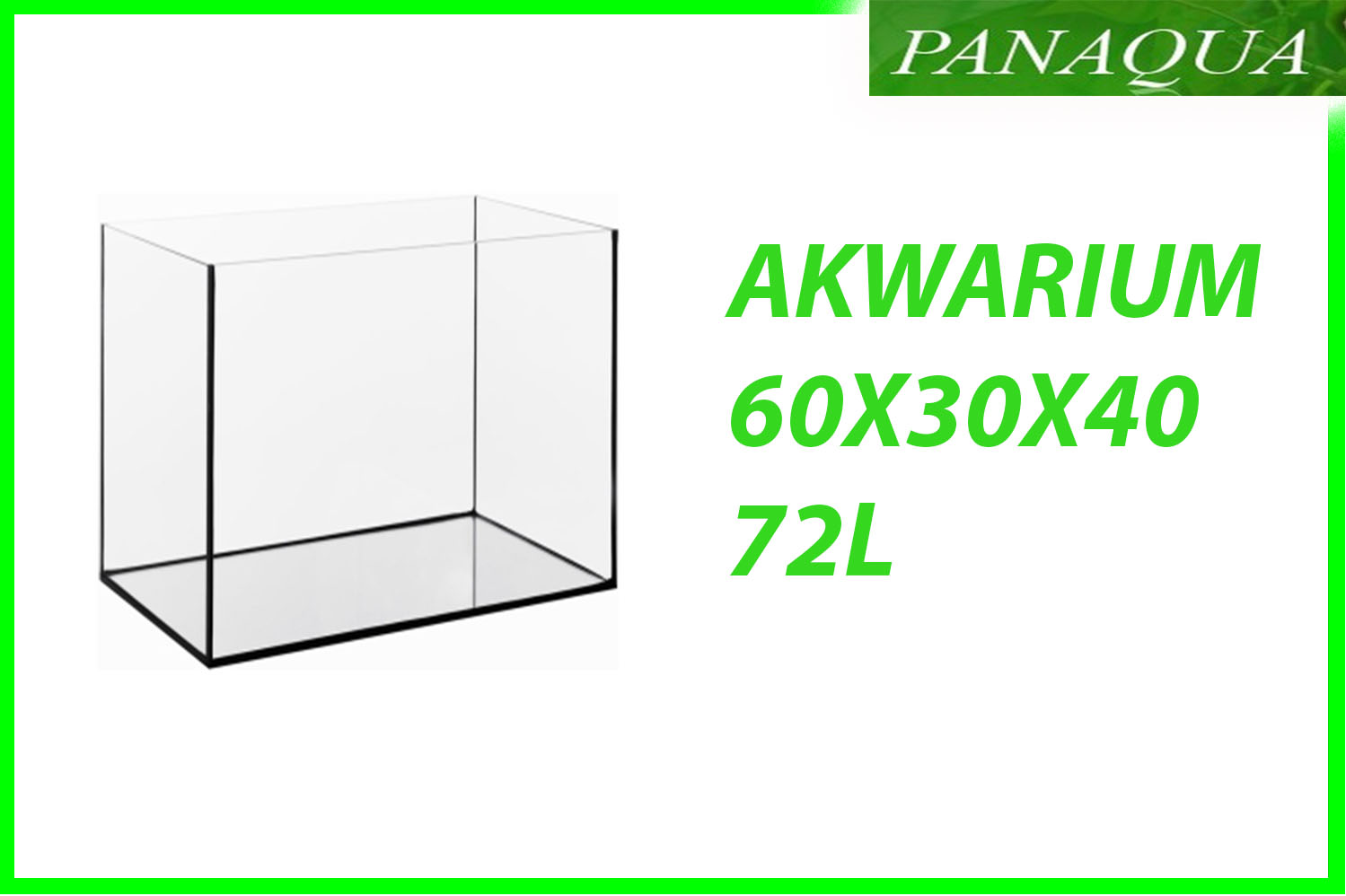 akwarium 72.jpg