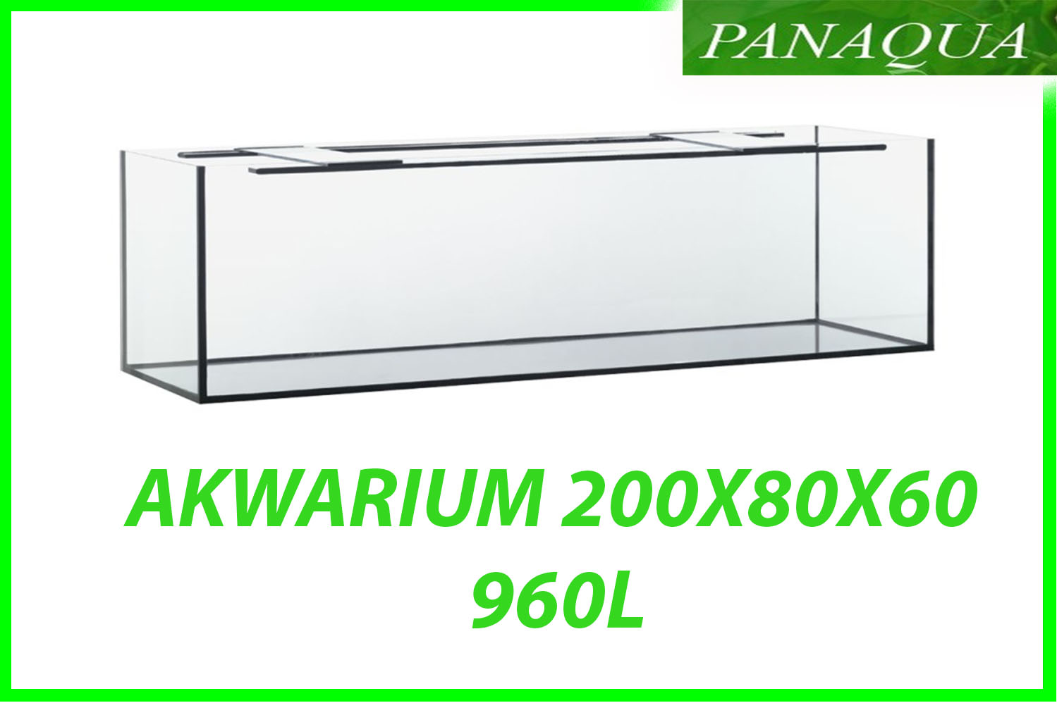 akwarium 960.jpg