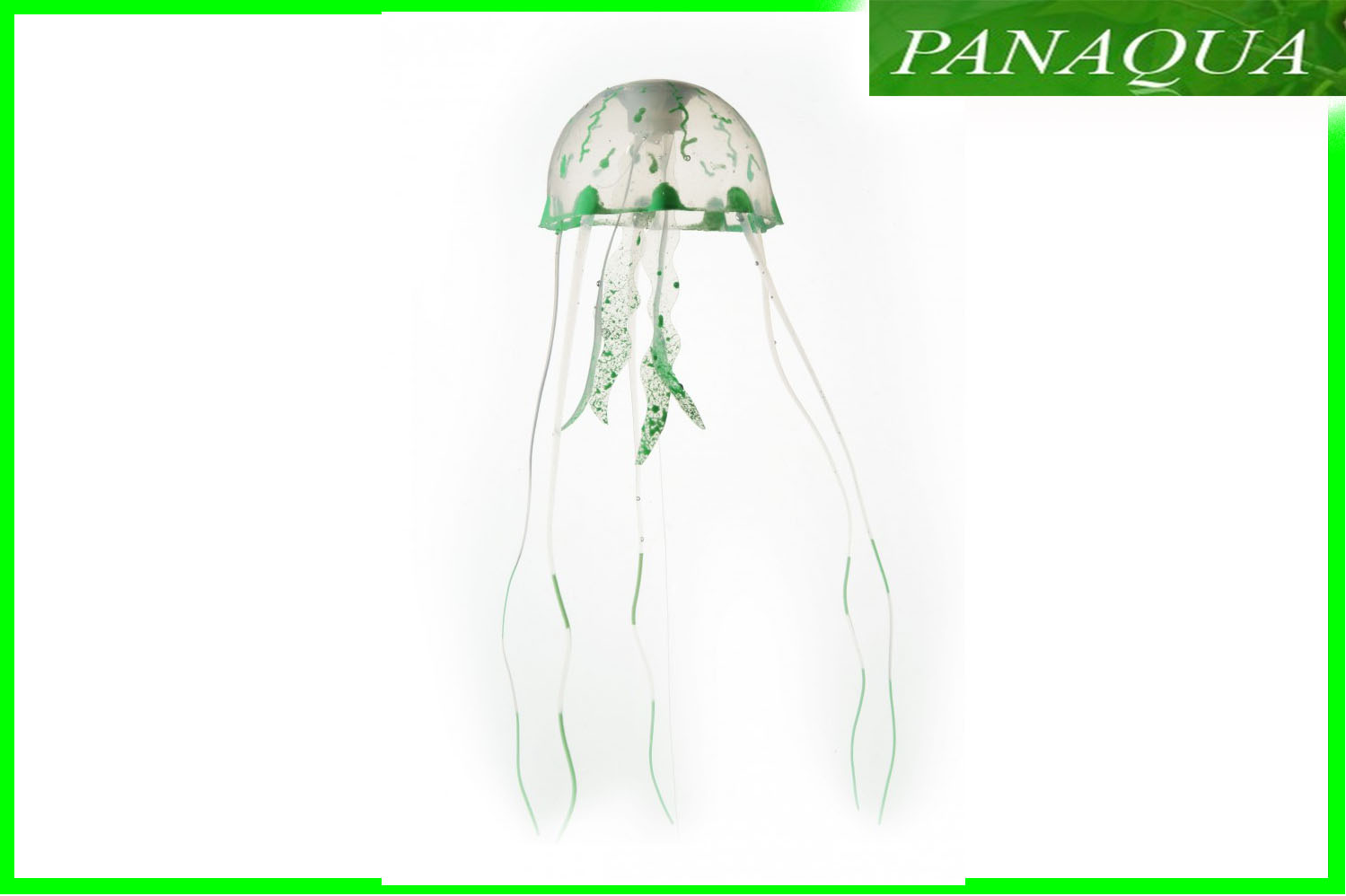 aquadella jellym2.jpg