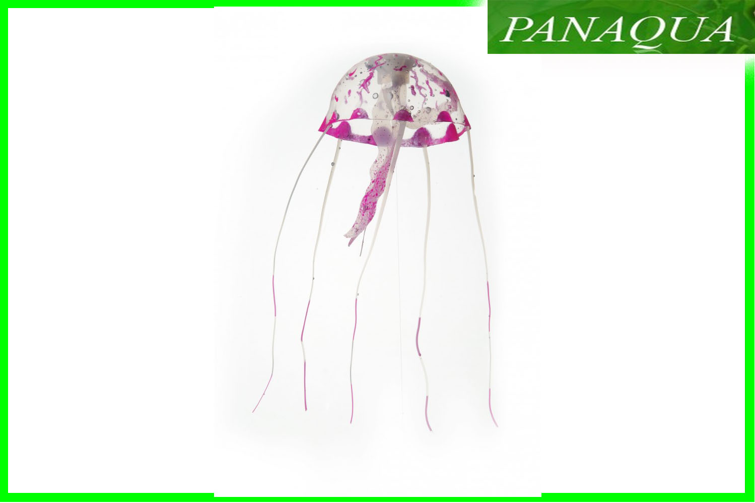 aquadella jellym3.jpg