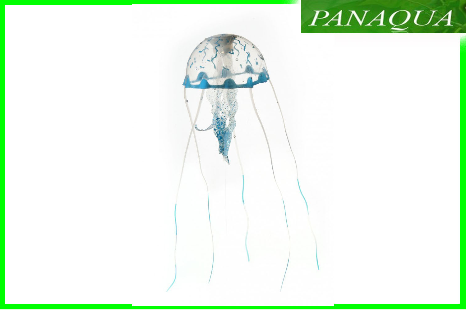 aquadella jellym4.jpg