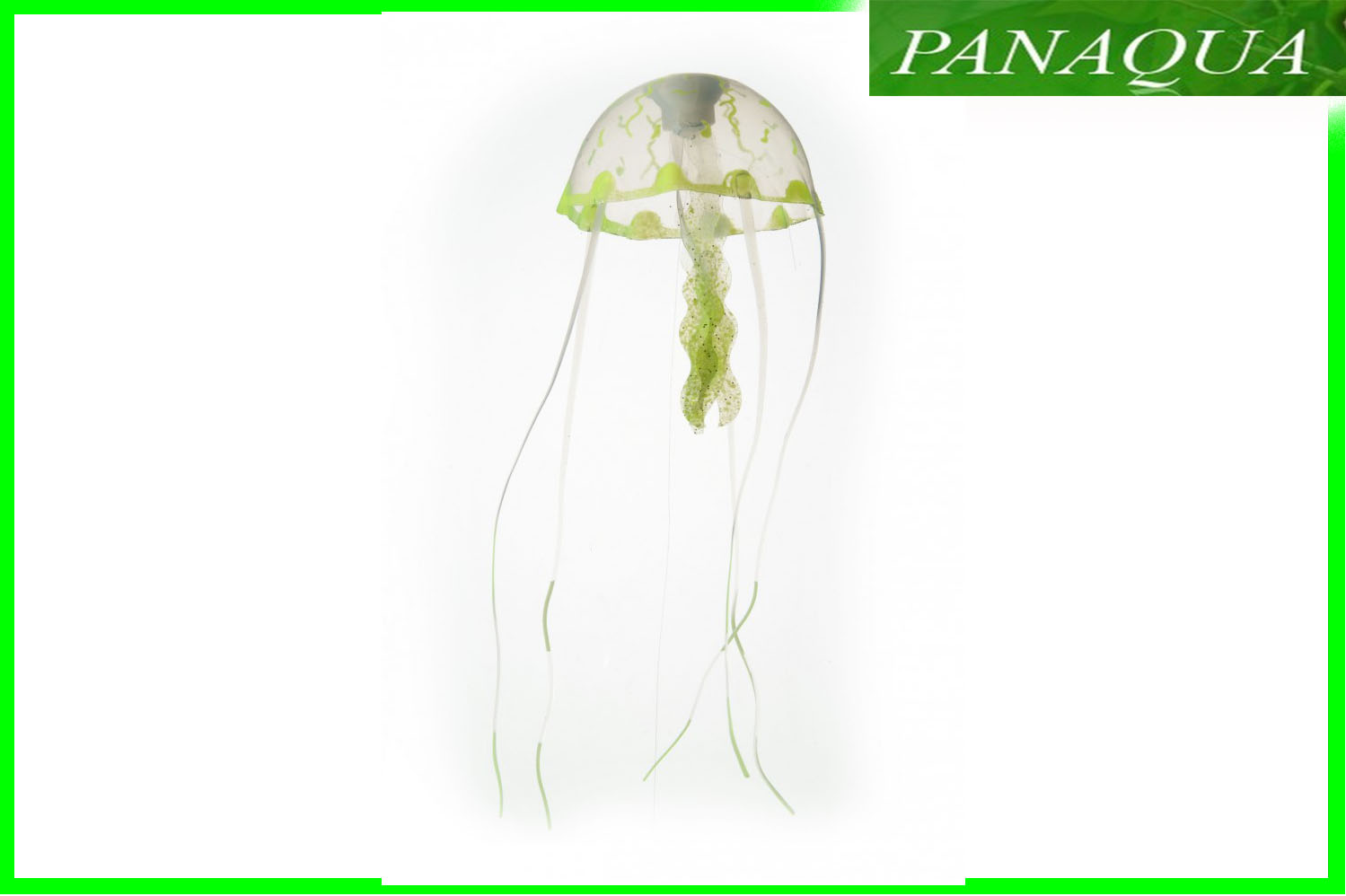 aquadella jellym5.jpg