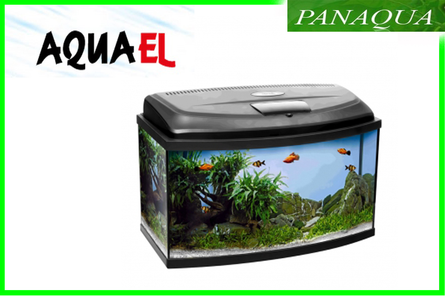 aquael classicowal.jpg