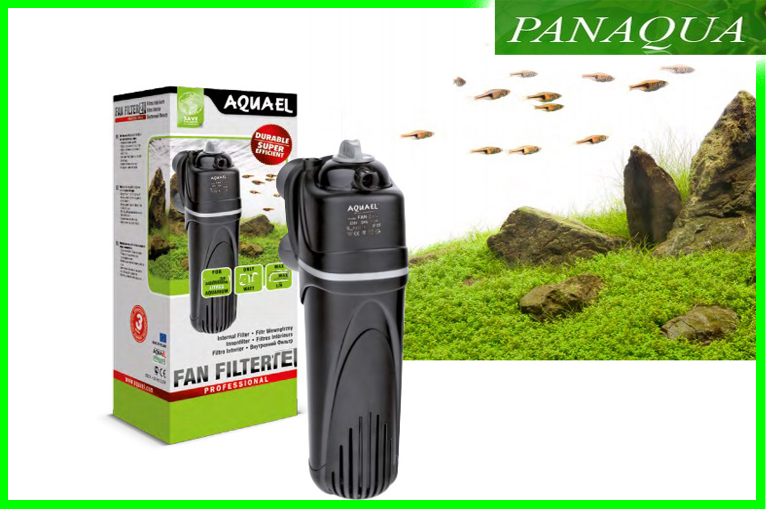 aquael fanmininew.jpg